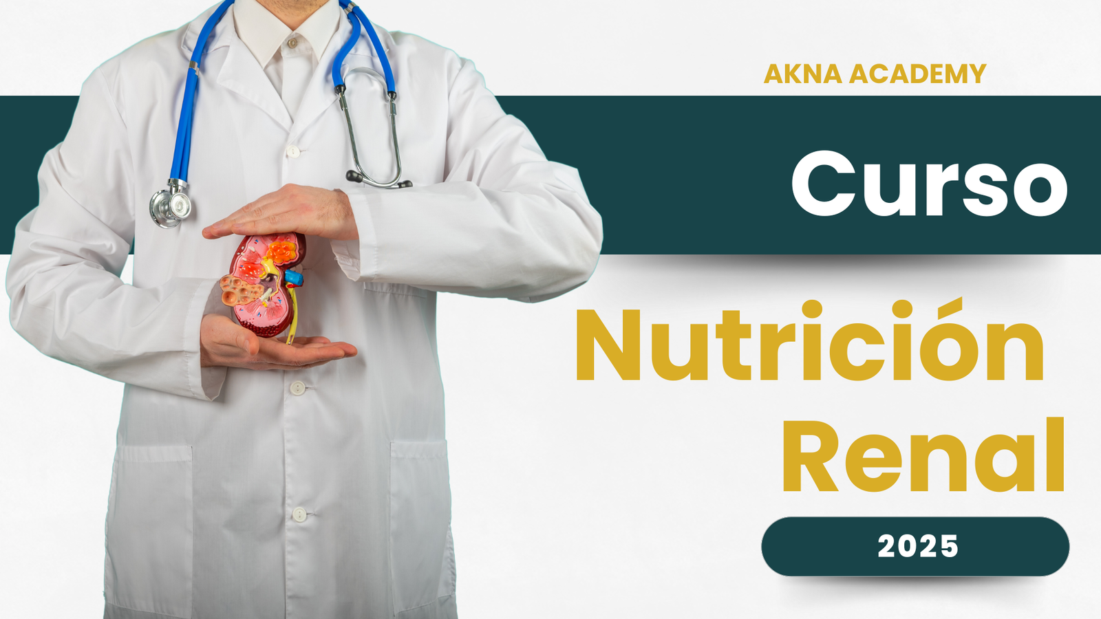 Nutrición Renal